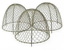 garden cloches for sale garden cloches for sale  UK