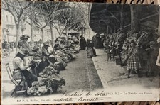 Cannes marché fleurs d'occasion  Saint-Priest