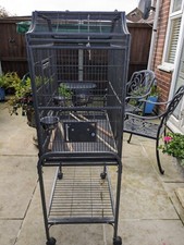 Extra large parrot for sale  COLCHESTER