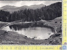 Val intelvi cartolina usato  Milano