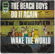 The beach boys gebraucht kaufen  Ranstadt