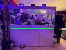 aquarium 500l gebraucht kaufen aquarium 500l gebraucht kaufen Sindelfingen