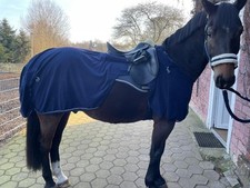 Ausreitdecke wb gebraucht kaufen  Telgte