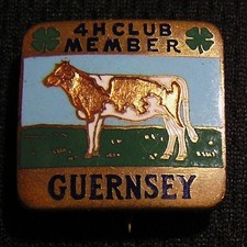 Vtg 1930 club for sale  Etters