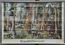 Schulwandkarte rollbild landha gebraucht kaufen Schulwandkarte rollbild landha gebraucht kaufen  Berghülen