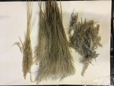 Pampas grass boho for sale  Hanska