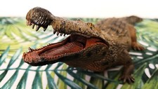 Krokodil alligator kaiman gebraucht kaufen  Berlin