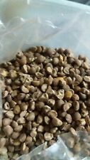 300 naarvosaa seeds for sale  UK