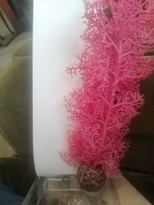 Oase biorb coloured for sale  LONDON
