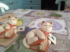 Gatto thun perfetto usato  Novellara