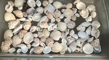 Bag asst sea for sale  Charlotte