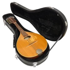 mandolin case for sale mandolin case for sale ROMFORD