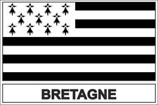 Autocollant sticker drapeau usato  Spedire a Italy