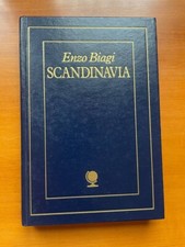 Scandinavia geografia enzo usato  Robilante