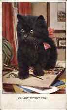 Black kitten fluffy for sale  USA