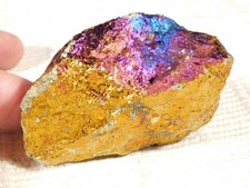 Bright iridescent peacock for sale  Salt Lake City