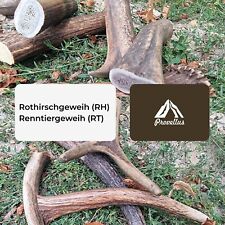 Hunde kauknochen hirschgeweih gebraucht kaufen  Hamburg