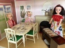 Complete vintage sindy for sale  BOURNEMOUTH