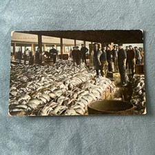 Vintage postcard fish for sale  BRADFORD