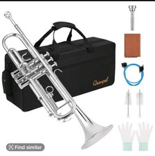 Silver flat trumpet for sale  Saxton