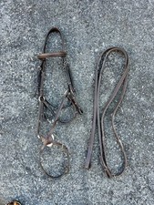 Euc horse full for sale  Willow Street