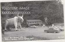 Zan rppc babe for sale  Dunsmuir