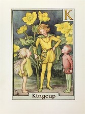 Kingdup fairy cicely for sale  BOURNE END