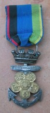 245i medaille sauveteurs d'occasion  Pignans