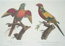 Parrot prints limited for sale  Fort Lauderdale