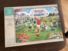 1000 piece jigsaw for sale  BOSTON