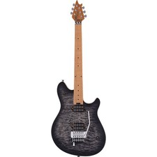 Evh wolfgang special gebraucht kaufen  Köln