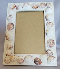 4x6 seashell picture for sale  Chesapeake