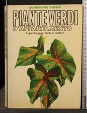 Piante verdi appartamento. usato  Ariccia