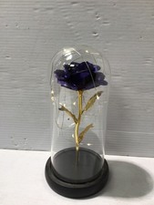Blue gold rose for sale  BURY ST. EDMUNDS