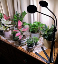 Grow light indoor for sale  Rockville