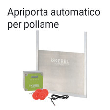 Apriporta automatico per usato  San Giovanni Rotondo