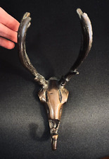 Deer head antlers for sale  Nolensville