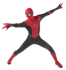 Far from home d'occasion  Expédié en Belgium