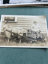 Girl riding fancy for sale  Dawsonville