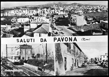 Pavona roma negativa usato  Narni
