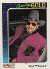 Hank williams jr. for sale  Hughes