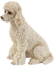 Cane barboncino lola usato  Istrana