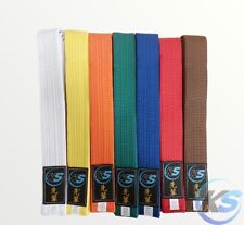 Cintura colorata karate usato  Tivoli