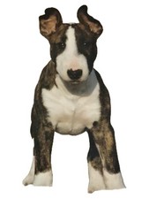 Dogtalking fachlich kritisch gebraucht kaufen  Deutschland