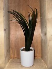 Artificial plant white for sale  CANNOCK