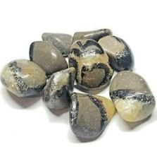 Tumbled septarian fossilized for sale  Harrah
