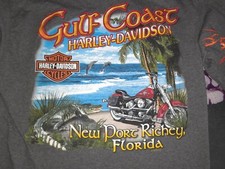 harley langarmshirt gebraucht kaufen harley langarmshirt gebraucht kaufen Tegernheim