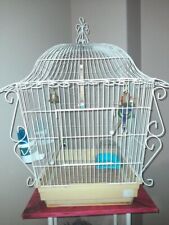 Cage parrot for sale  Portland