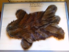 Nutria dekofell 24x47 gebraucht kaufen  Gera