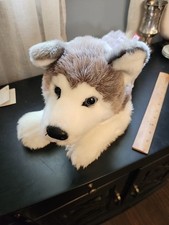 Geno plush husky for sale  Granby
